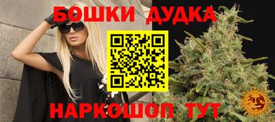 гашик Баксан