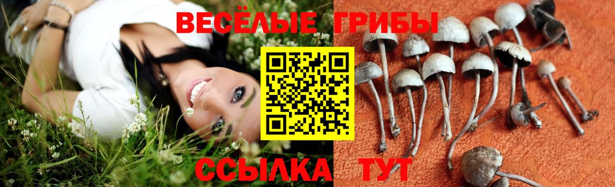 Галлюциногенные грибы ЛСД  где купить   Всеволожск  Вход с VPN 